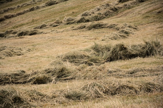 rural environment