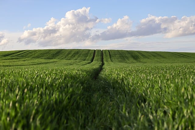 rural land