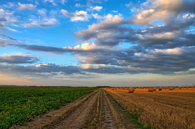 rural road