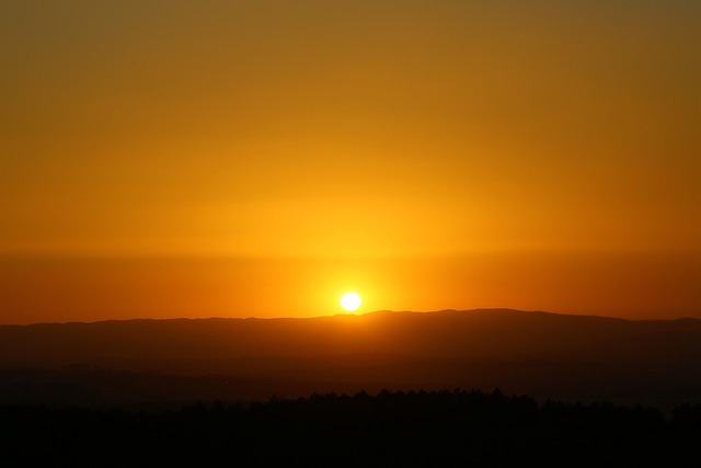 Hình ảnh minh họa ý nghĩa của từ russet