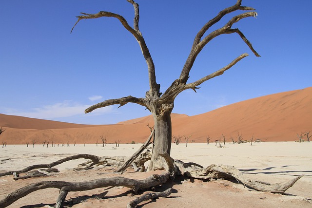 Hình ảnh minh họa ý nghĩa của từ ruthlessness