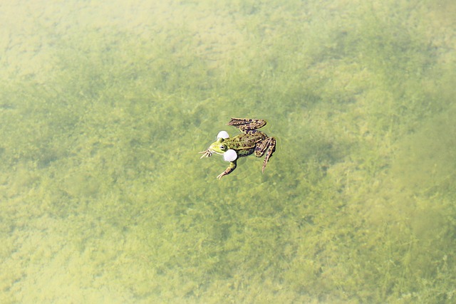 Hình ảnh minh họa ý nghĩa của từ sac