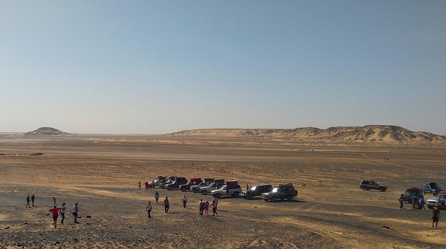 safari camping