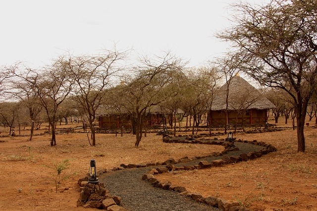 safari tent