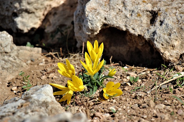 Hình ảnh minh họa ý nghĩa của từ safely
