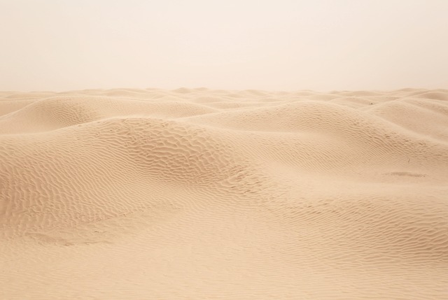 Sahara