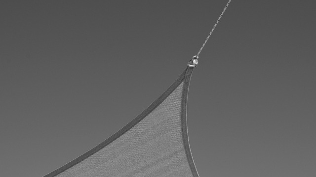 Hình ảnh minh họa ý nghĩa của từ sails