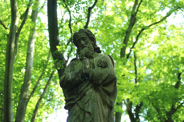 saint james