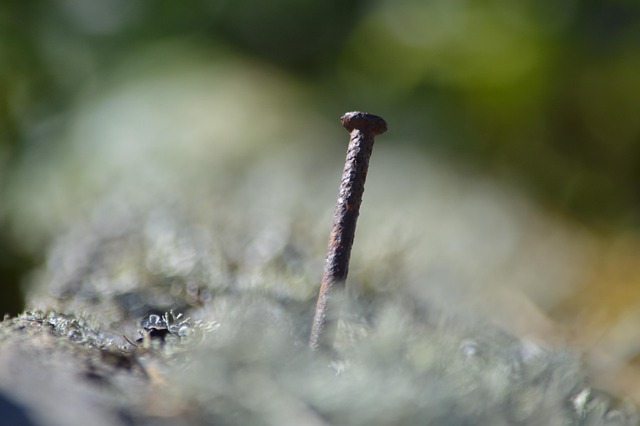 Hình ảnh minh họa ý nghĩa của từ salary