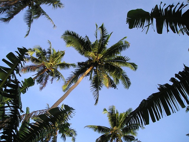 Samoa