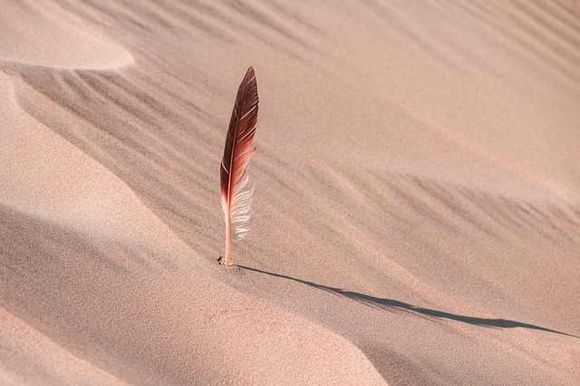 sand dune