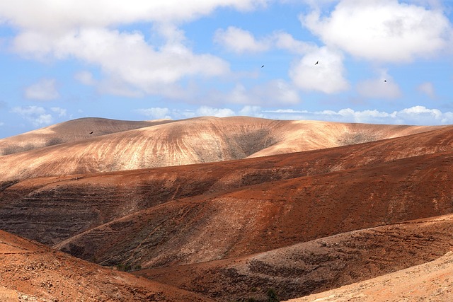 Hình ảnh minh họa ý nghĩa của từ sand hills