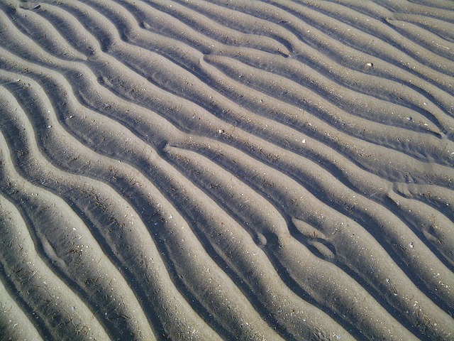 sandbank