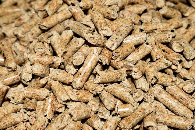 sawdust