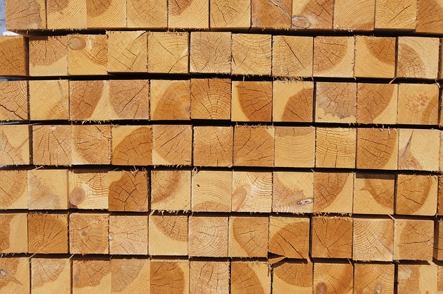 Hình ảnh minh họa ý nghĩa của từ sawmill