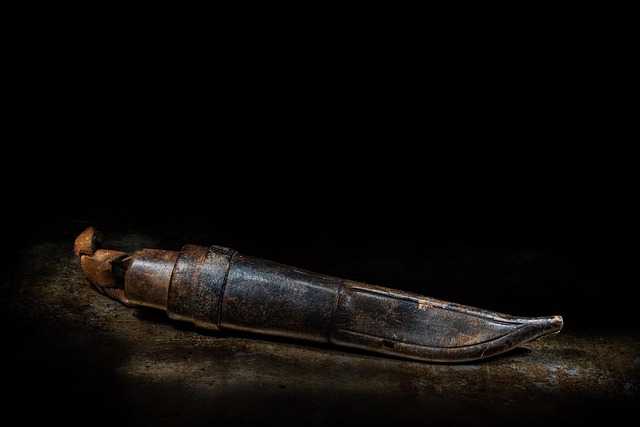 scabbard
