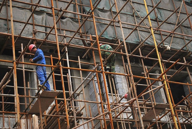 scaffolds