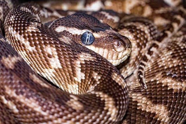 Hình ảnh minh họa ý nghĩa của từ scale-independent