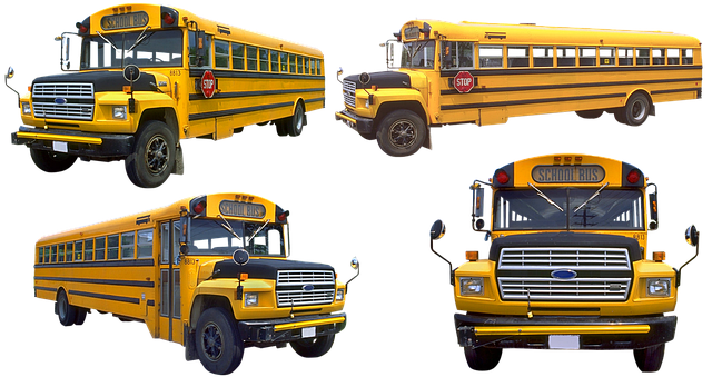 school bus