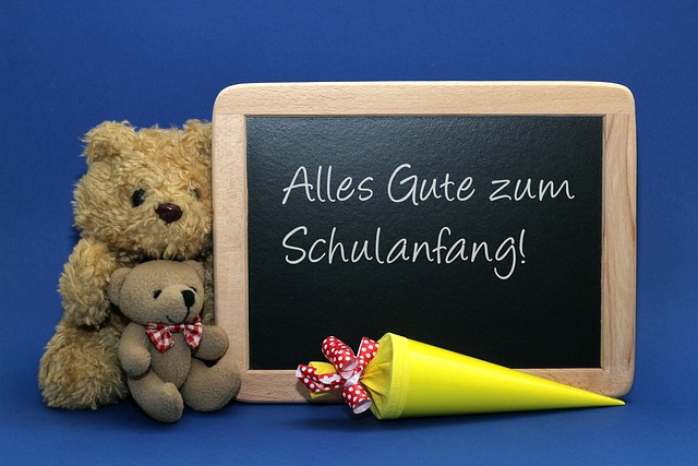 school enrollment