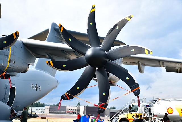 Hình ảnh minh họa ý nghĩa của từ scimitar