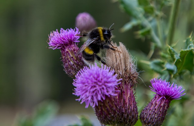 Hình ảnh minh họa ý nghĩa của từ scraping