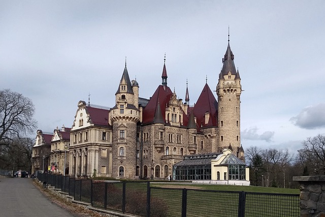 Hình ảnh minh họa ý nghĩa của từ scrotum