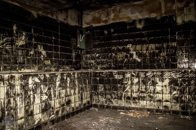 Hình ảnh minh họa ý nghĩa của từ scruffy