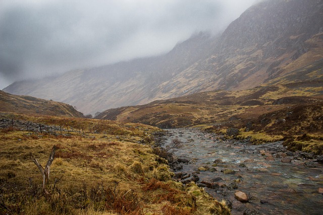 Hình ảnh minh họa ý nghĩa của từ sea level fall