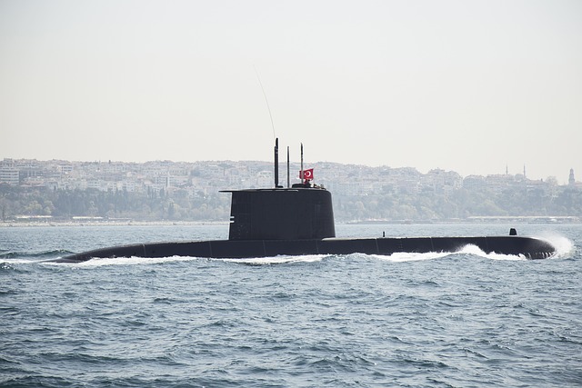 sea soldiers