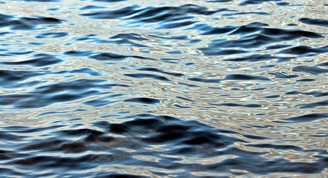 sea surface temperature