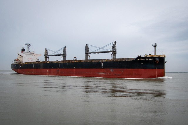 Hình ảnh minh họa ý nghĩa của từ seagoing