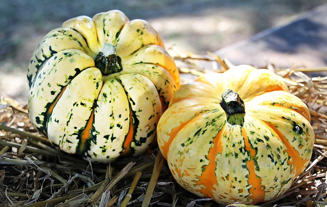 seasonal produce
