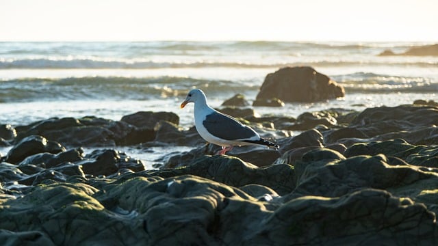 Hình ảnh minh họa ý nghĩa của từ seclusion
