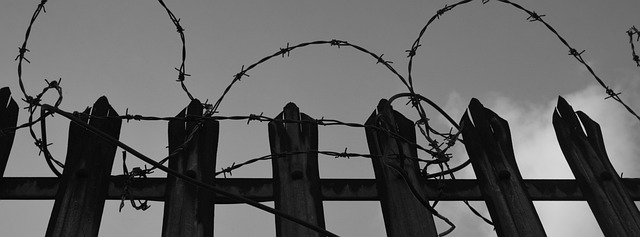 Hình ảnh minh họa ý nghĩa của từ secretion