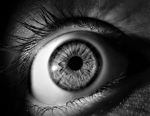 See eye to eye