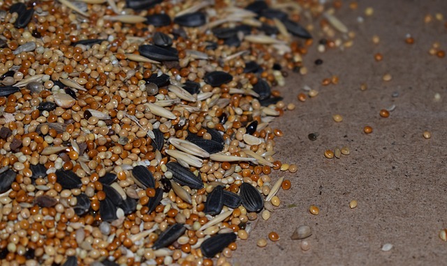 seed mixture