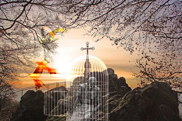 seek peace