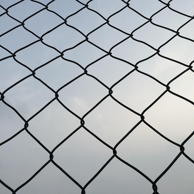 seine net