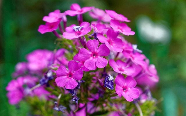 Hình ảnh minh họa ý nghĩa của từ select group