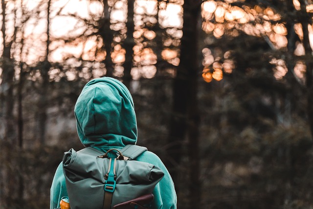 Hình ảnh minh họa ý nghĩa của từ self-actualization