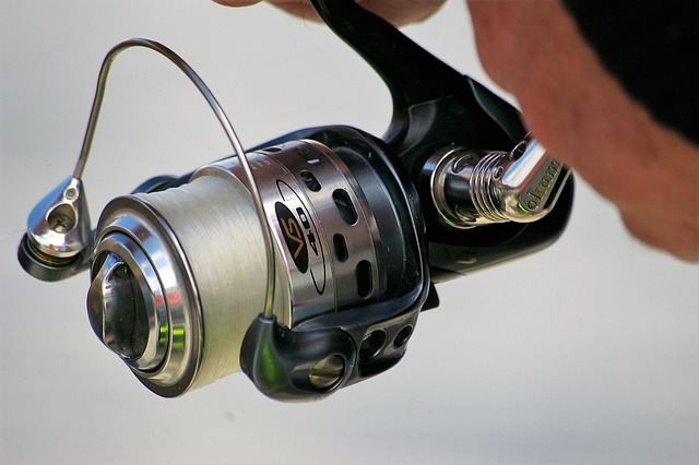 Hình ảnh minh họa ý nghĩa của từ self-interest