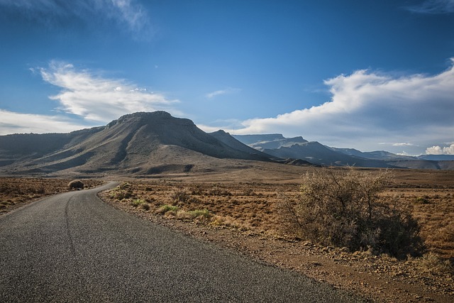 Hình ảnh minh họa ý nghĩa của từ semi-annual