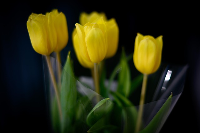 Hình ảnh minh họa ý nghĩa của từ sensationalism