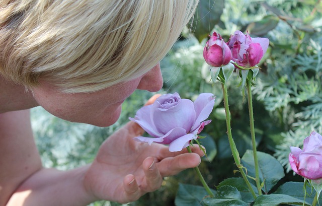 sense of smell