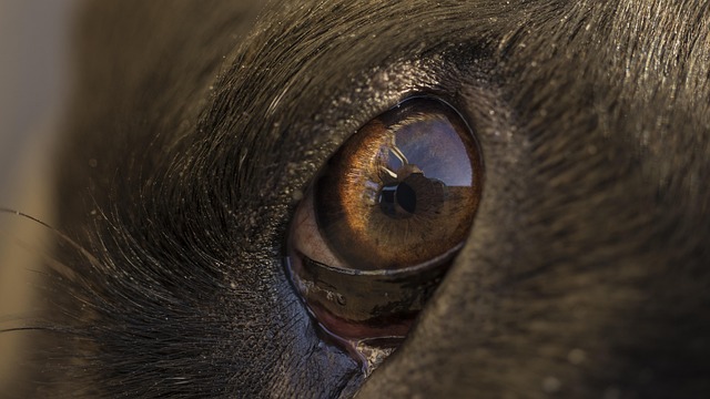 Hình ảnh minh họa ý nghĩa của từ sense perception