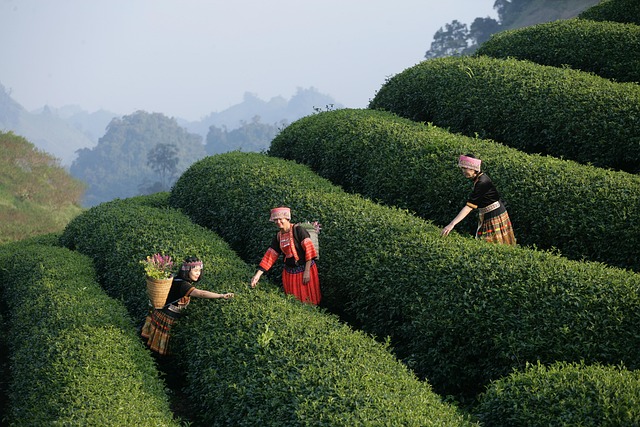 Hình ảnh minh họa ý nghĩa của từ sensorial experience