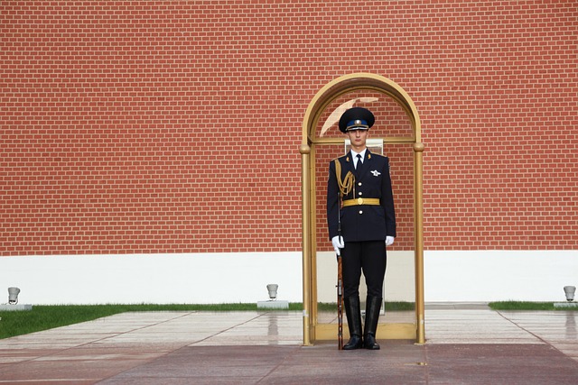 sentry