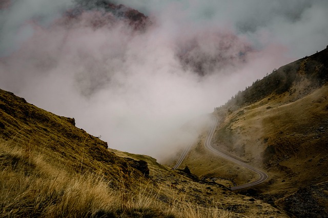 Hình ảnh minh họa ý nghĩa của từ serpentine