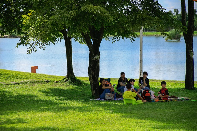 Hình ảnh minh họa ý nghĩa của từ seurat